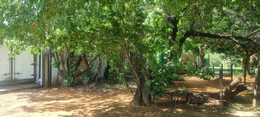 3 Bedroom Property for Sale in Quaggafontein Free State